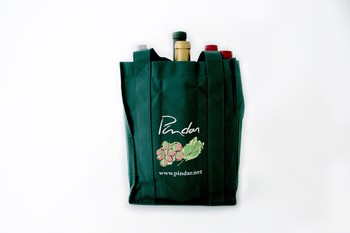 Logo 'Green' Bag