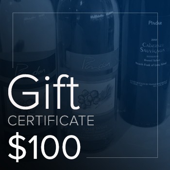 $100 Gift Certificate