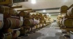 Wine barrels stored in Pindar Vineyards cellar during barrel tastings.