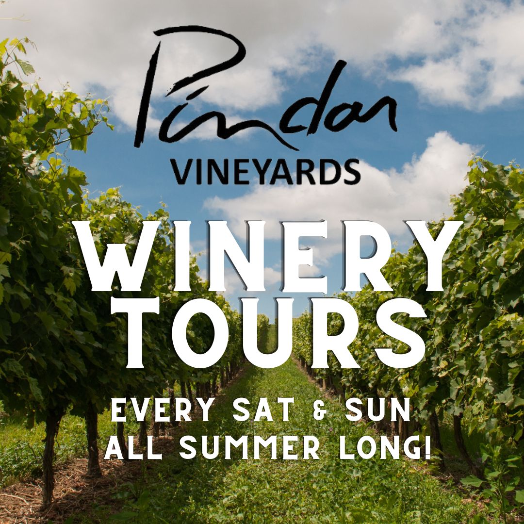 Pindar Vineyards scenic vineyard with lush grapevines under a partly cloudy sky.