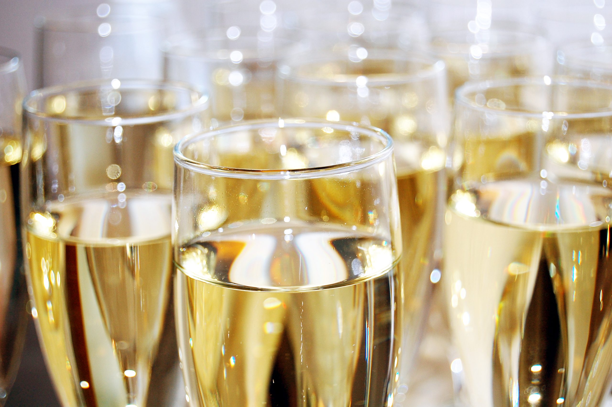 Glasses of sparkling white wine at Pindar Vineyards for celebration or tasting.
